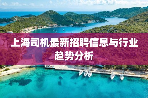 上海司机最新招聘信息与行业趋势分析