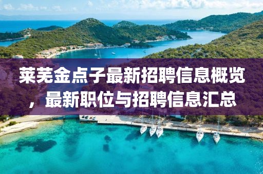 莱芜金点子最新招聘信息概览，最新职位与招聘信息汇总