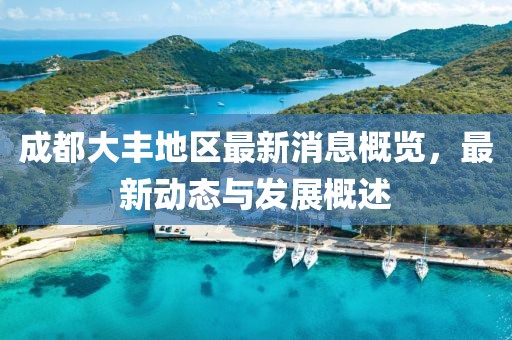 成都大丰地区最新消息概览，最新动态与发展概述