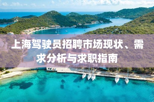 上海驾驶员招聘市场现状、需求分析与求职指南