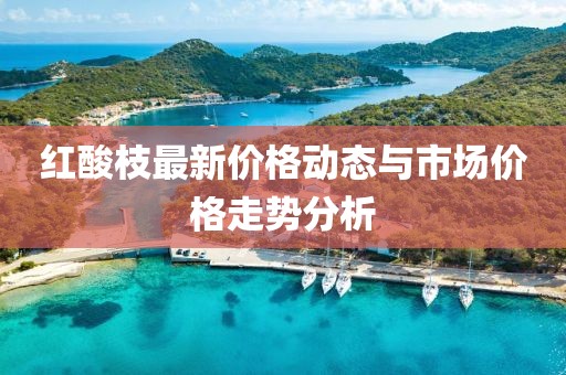 红酸枝最新价格动态与市场价格走势分析