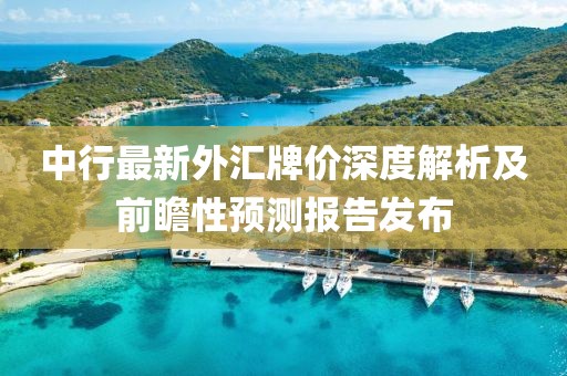 中行最新外汇牌价深度解析及前瞻性预测报告发布