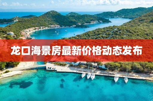 龙口海景房最新价格动态发布