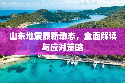 山东地震最新动态，全面解读与应对策略