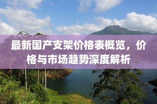 最新国产支架价格表概览，价格与市场趋势深度解析