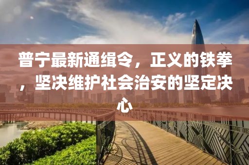 普宁最新通缉令，正义的铁拳，坚决维护社会治安的坚定决心