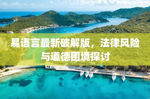 易语言最新破解版，法律风险与道德困境探讨