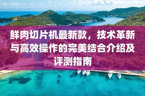 鲜肉切片机最新款，技术革新与高效操作的完美结合介绍及评测指南