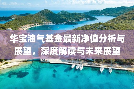 华宝油气基金最新净值分析与展望，深度解读与未来展望