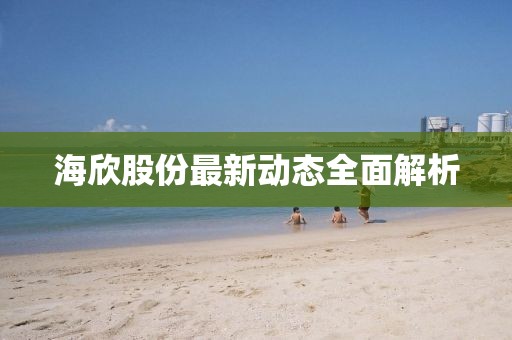 海欣股份最新动态全面解析