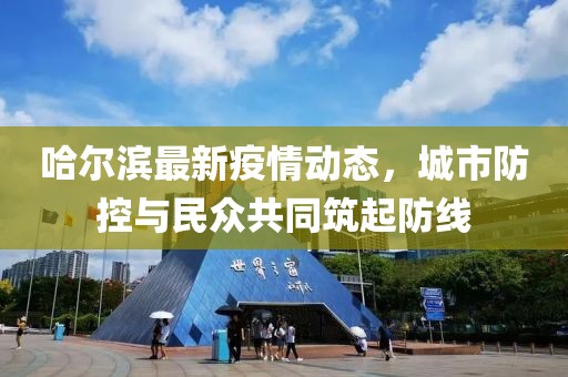 哈尔滨最新疫情动态，城市防控与民众共同筑起防线