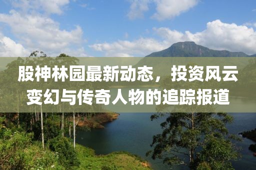 股神林园最新动态，投资风云变幻与传奇人物的追踪报道