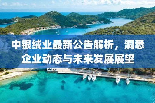 中银绒业最新公告解析，洞悉企业动态与未来发展展望