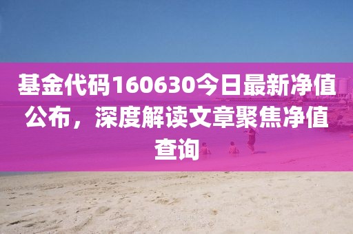 基金代码160630今日最新净值公布，深度解读文章聚焦净值查询