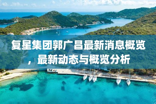 复星集团郭广昌最新消息概览，最新动态与概览分析