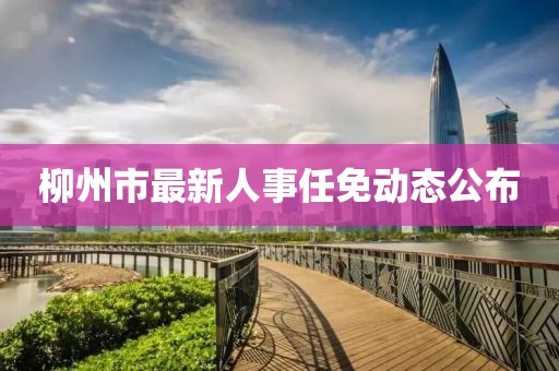 柳州市最新人事任免动态公布