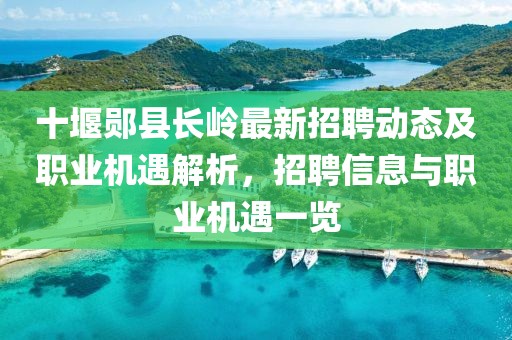 十堰郧县长岭最新招聘动态及职业机遇解析，招聘信息与职业机遇一览