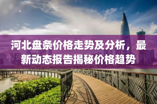 河北盘条价格走势及分析，最新动态报告揭秘价格趋势