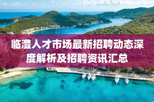 临澧人才市场最新招聘动态深度解析及招聘资讯汇总