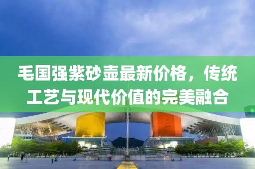 毛国强紫砂壶最新价格，传统工艺与现代价值的完美融合