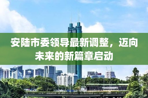 安陆市委领导最新调整，迈向未来的新篇章启动