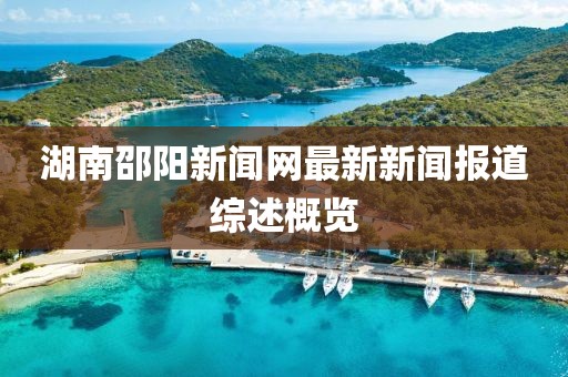 湖南邵阳新闻网最新新闻报道综述概览