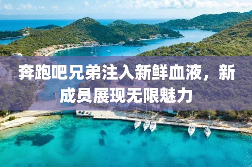 奔跑吧兄弟注入新鲜血液，新成员展现无限魅力