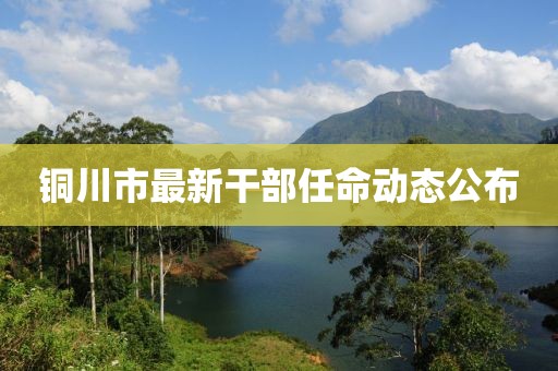 铜川市最新干部任命动态公布