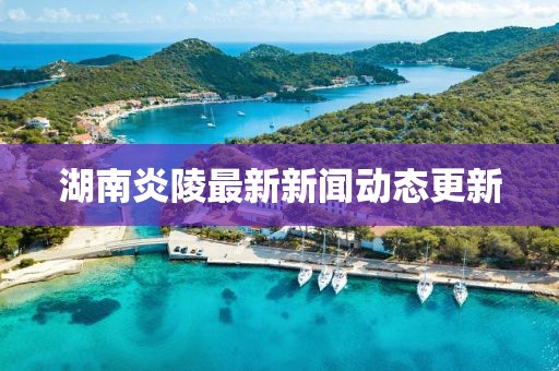 湖南炎陵最新新闻动态更新