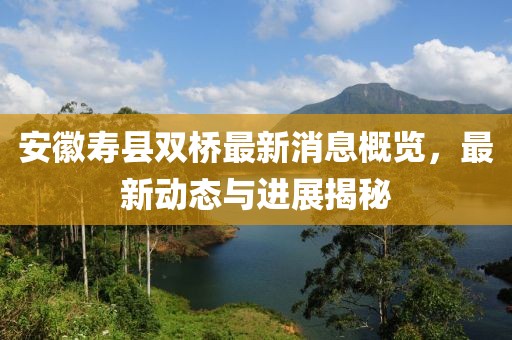 安徽寿县双桥最新消息概览，最新动态与进展揭秘