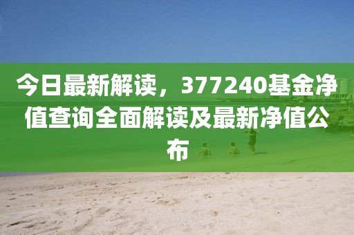 今日最新解读，377240基金净值查询全面解读及最新净值公布