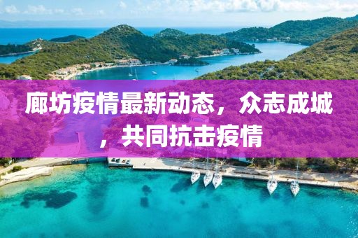 廊坊疫情最新动态，众志成城，共同抗击疫情