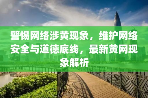 警惕网络涉黄现象，维护网络安全与道德底线，最新黄网现象解析