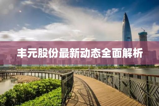 丰元股份最新动态全面解析