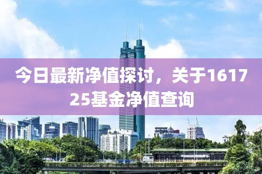 今日最新净值探讨，关于161725基金净值查询