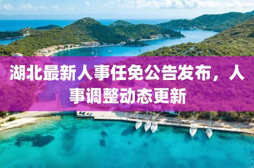 湖北最新人事任免公告发布，人事调整动态更新