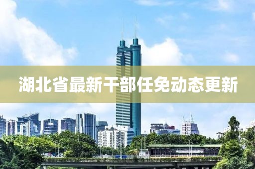 湖北省最新干部任免动态更新