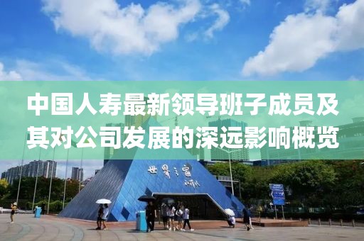 中国人寿最新领导班子成员及其对公司发展的深远影响概览