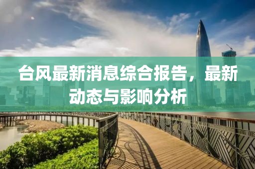 台风最新消息综合报告，最新动态与影响分析