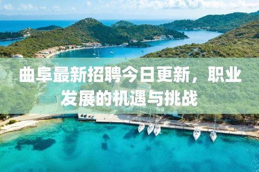 曲阜最新招聘今日更新，职业发展的机遇与挑战