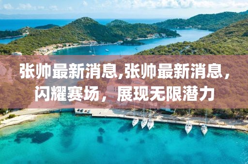 张帅最新消息,张帅最新消息，闪耀赛场，展现无限潜力