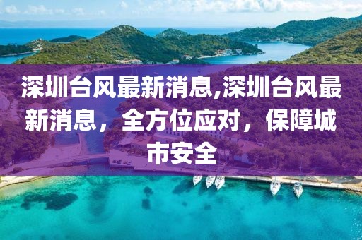 深圳台风最新消息,深圳台风最新消息，全方位应对，保障城市安全