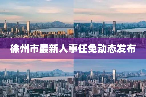 徐州市最新人事任免动态发布