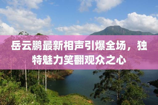 岳云鹏最新相声引爆全场，独特魅力笑翻观众之心