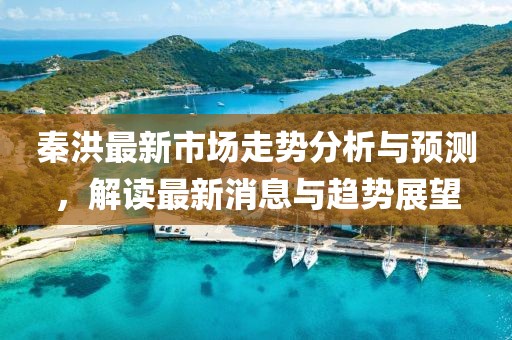 秦洪最新市场走势分析与预测，解读最新消息与趋势展望