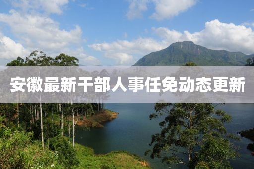 安徽最新干部人事任免动态更新