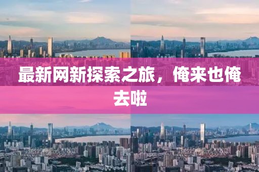 最新网新探索之旅，俺来也俺去啦