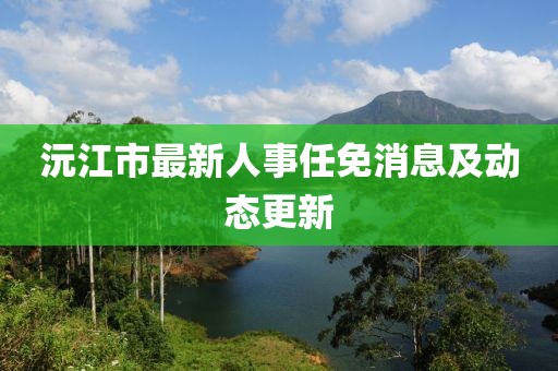 沅江市最新人事任免消息及动态更新