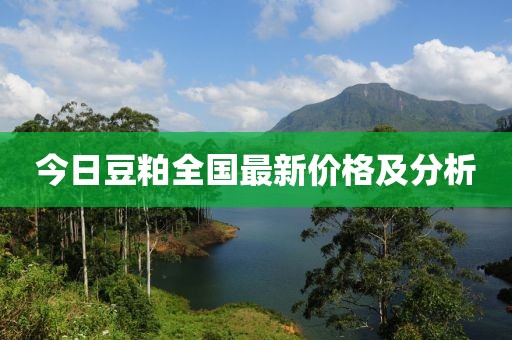 今日豆粕全国最新价格及分析